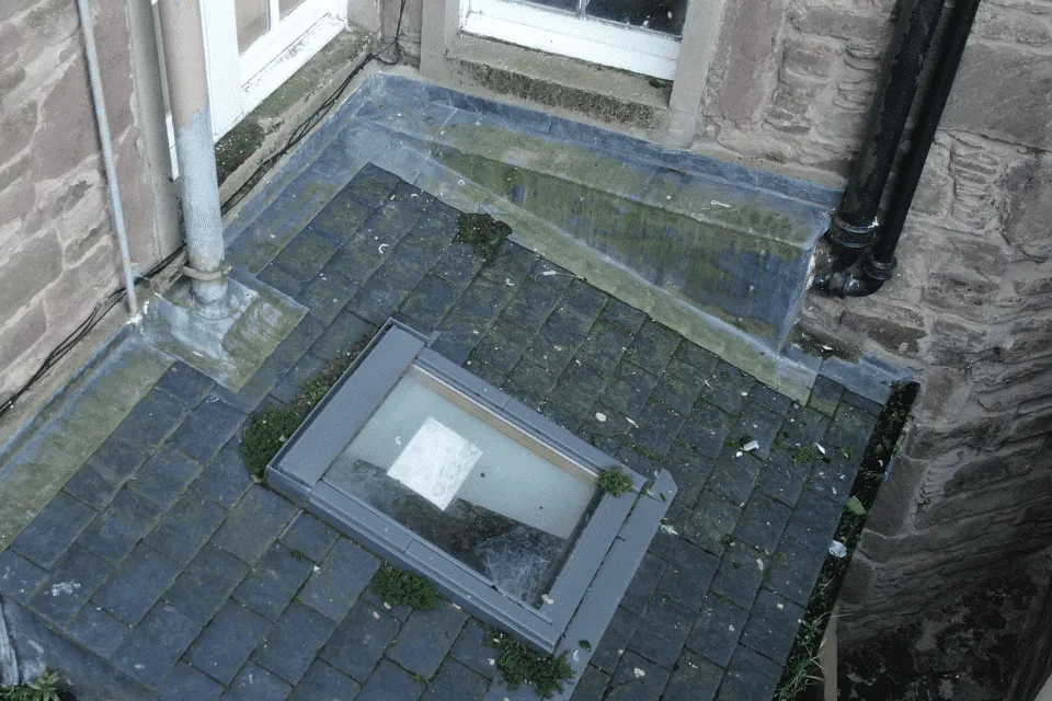 drone window survey 2022 12 20T225748.069