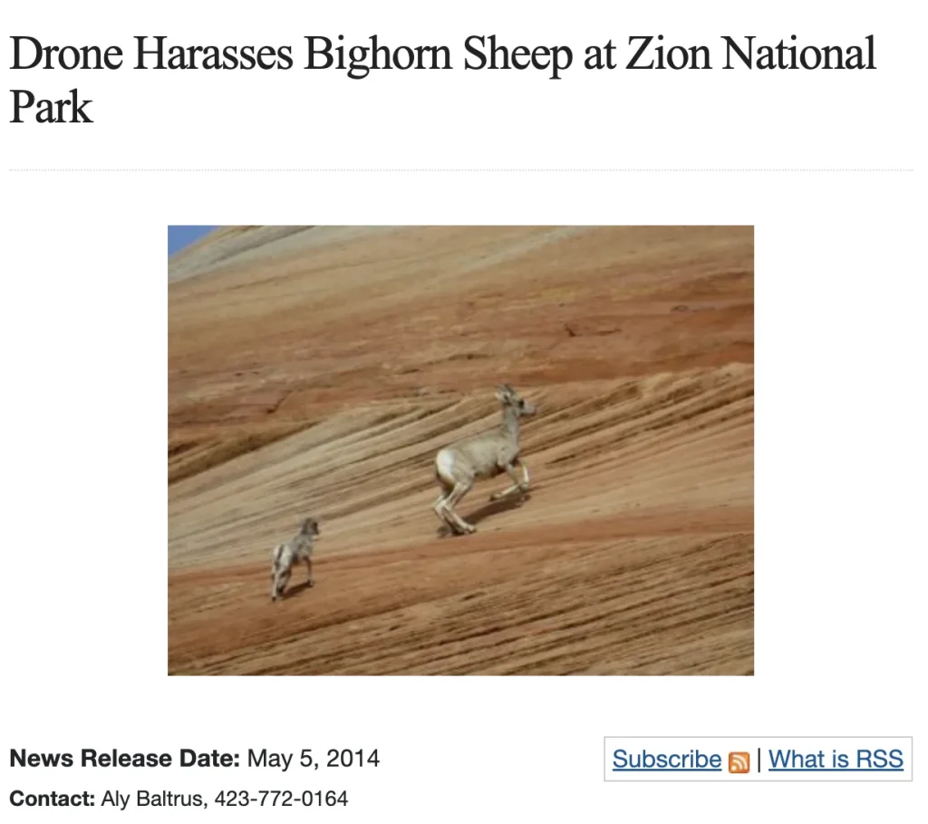 flying drone over national park usa 65