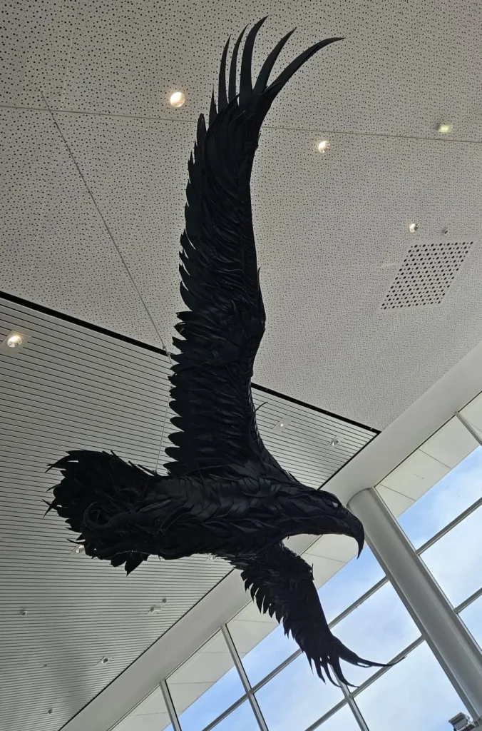 james leslie drone pilot 56