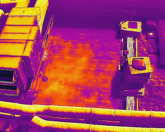 skykam drone pilot picture 44