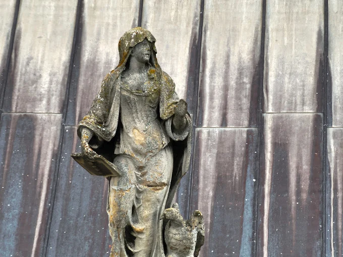 skykam drone pilot picture 49